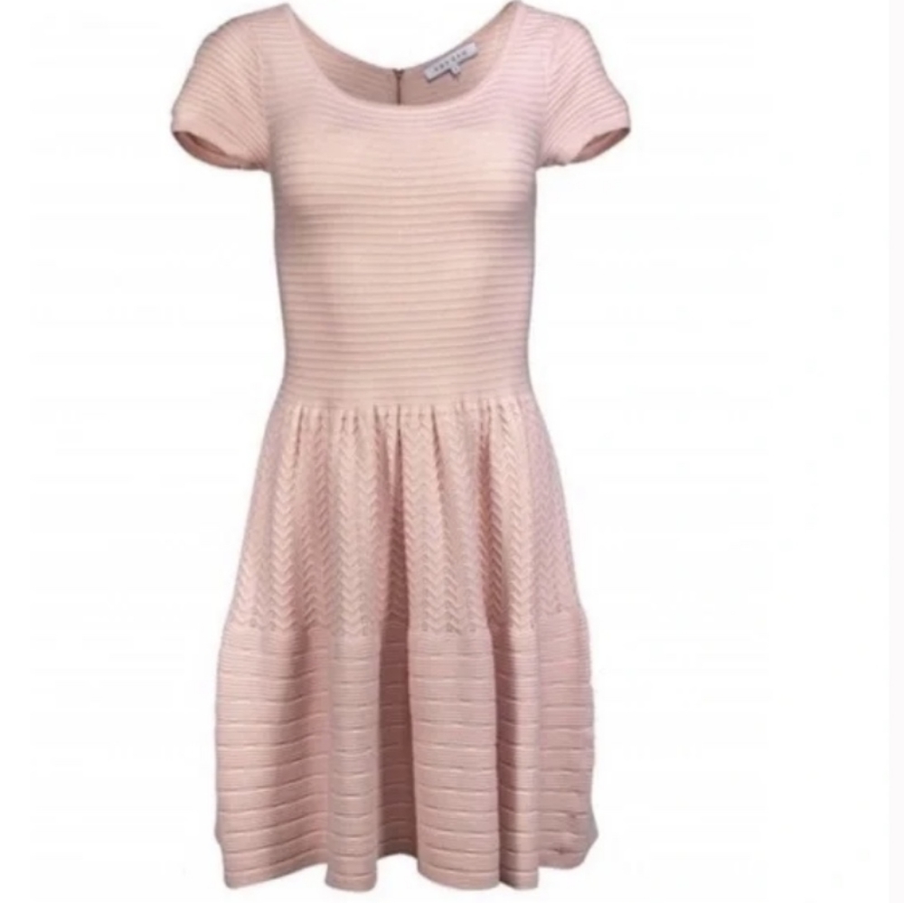 Sandro Blush Pink Knit Cap Sleeve Size: 1 (small).